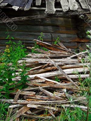 Background - old wood