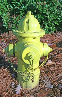 Yellow Hydrant