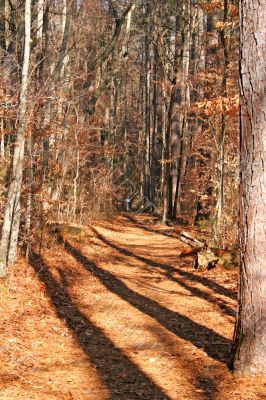 Sign on the Trail