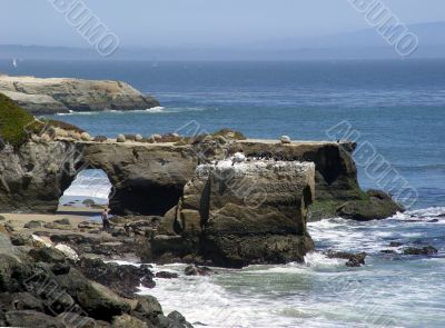 CA - Natural Bridges