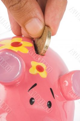 business savings - piggy bank