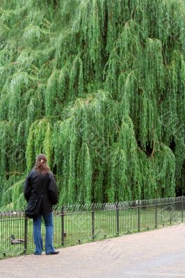 girl in front of tree