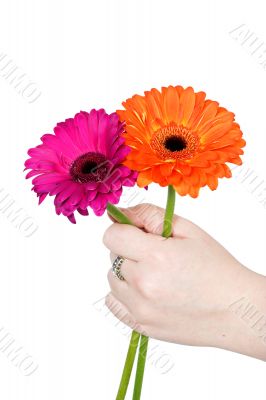 offer flowers