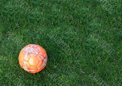 ball on the park - writing space