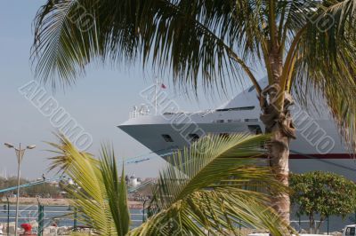Ship at Tropical Port
