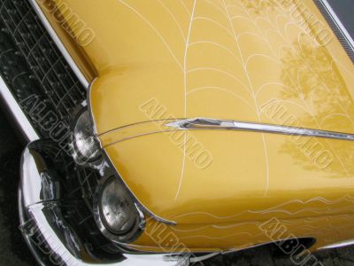 Yellow Web Yellow Web