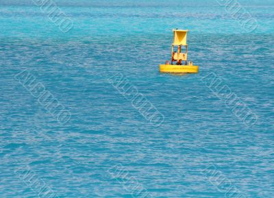 Yellow Buoy