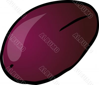 Plum fruit