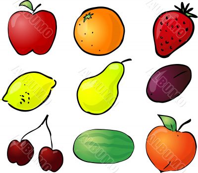Fruit illustration