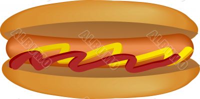 Hotdog illustration