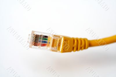 Network Cable