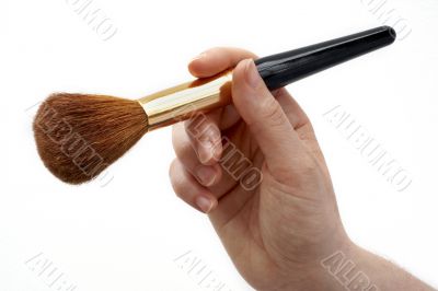 Cosmetic brush