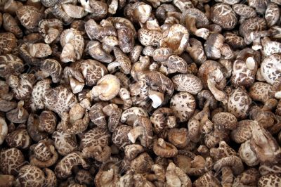 Dried mushrooms