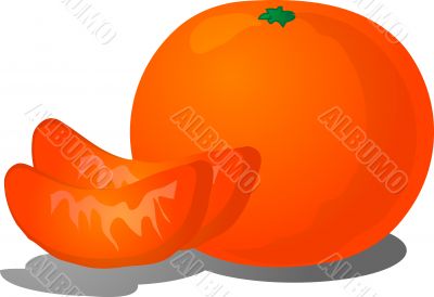 Orange segment illustration