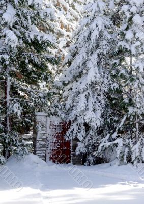Gate in a snow woods