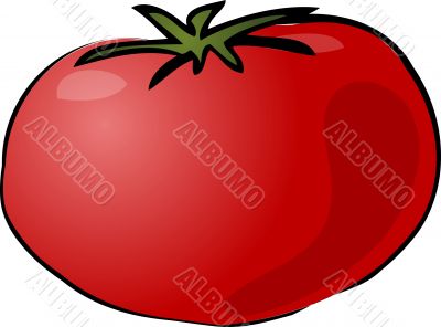 Tomato