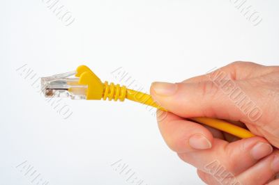 Hand holding network cable