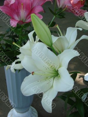 snowy white lilly bouquet