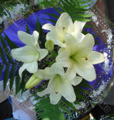 snowy white lilly bouquet