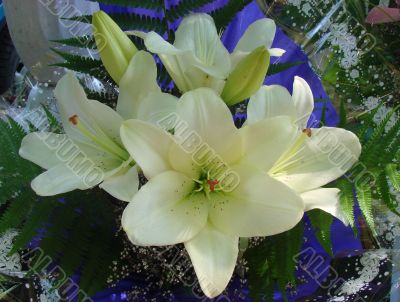 snowy white lilly bouquet