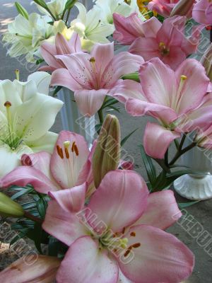 big rosy lilly bouquet
