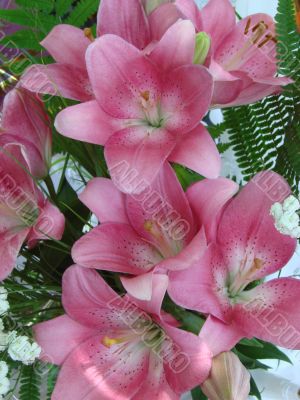big rosy lilly bouquet