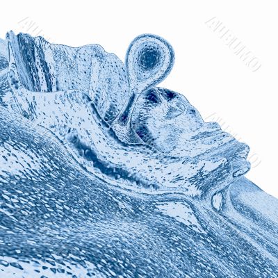 Liquid Splash - Blue