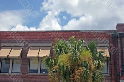 Old Brick and Awnings 1