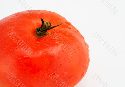 Tomato with water droplets, macro over white