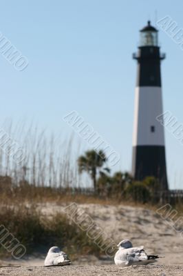 Lighthouse and Gulls