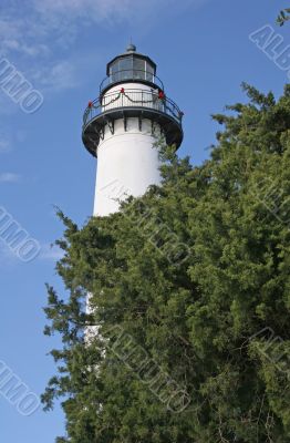 Lighthouse in Trees