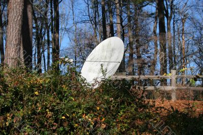 Satellite in Woods