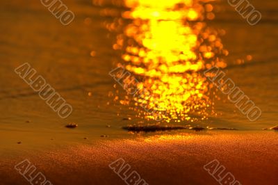 golden rays of sunlight on sand