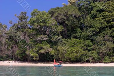 Dense tropical coastline