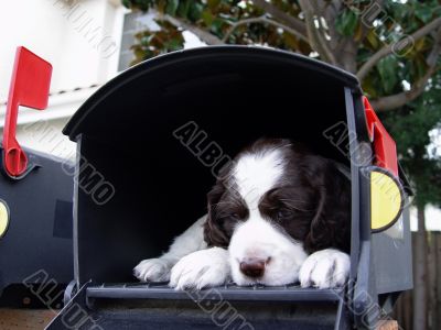 Big surprise in the mail