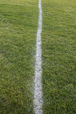 White Line, Green Field