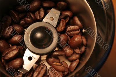 Birds Eye Coffee Grinder View
