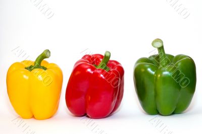 three bell peppers on white three bell peppers on white