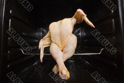 Dancing GMO chicken seated in a clean oven