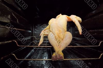 Dancing GMO chicken seated in a dirty oven
