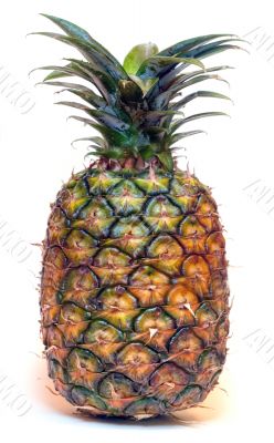 Big pineapple on white (20 Mpx panoramic) Big pineapple on white (20 Mpx panoramic)