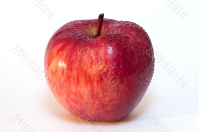 red and yellow apple with dewdrop