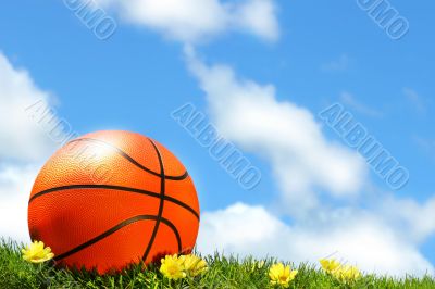 Basketball on the grass