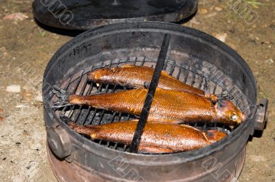 Smoked fish