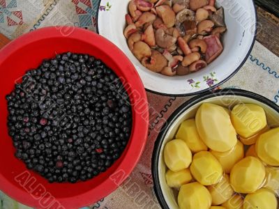 Bilberry, mushrooms, potato Bilberry, mushrooms, potato