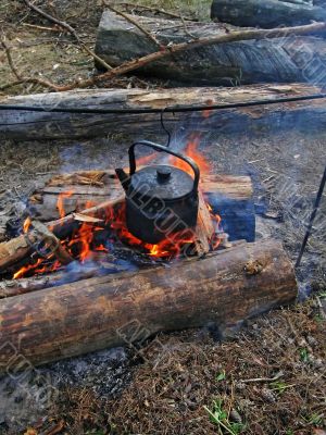campfire tea campfire tea