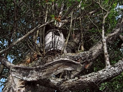Ancient beer beehive Ancient beer beehive
