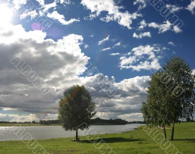 the summer landscape with lake and birches