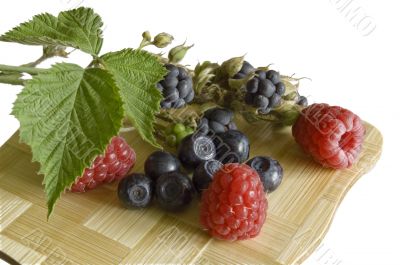 bilberries,blackberry and raspberries,