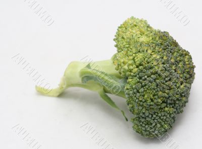 Broccoli Broccoli